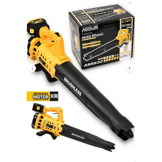 ASSUR Profesyonel 21 V Çift Akülü Turbo Motor 2800 Rpm Yaprak Hava Üfleme Makinesi