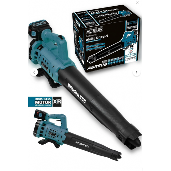 ASSUR Profesyonel 21 V Çift Akülü Turbo Motor 2800 Rpm Yaprak Hava Üfleme Makinesi