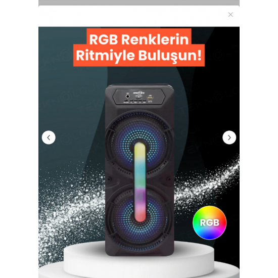 GTS-1702 Taşınabilir  Bluetooth Mikrofonlu RGB Işıklı 8X2 inç Hoparlör Fm Radyo Usb Tf kart